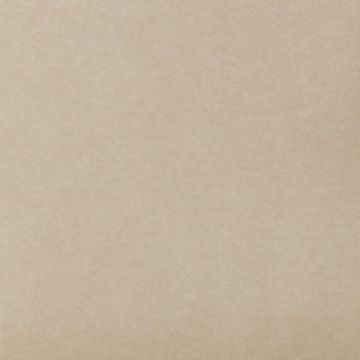 Blauwschild Vilt Beige 