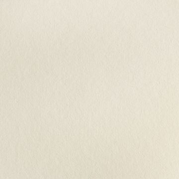 Blauwschild Vilt Light Beige 