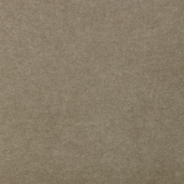 Blauwschild Vilt Taupe 